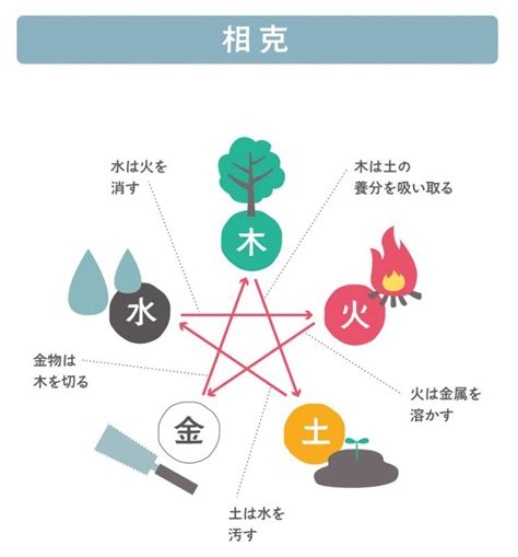 金剋木愛情|細說五行剋宮